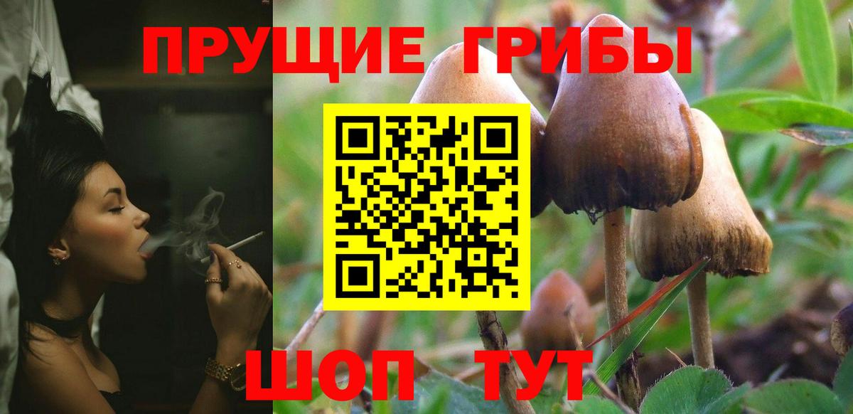 Курган  Галлюциногенные грибы мицелий  Вход с VPN 